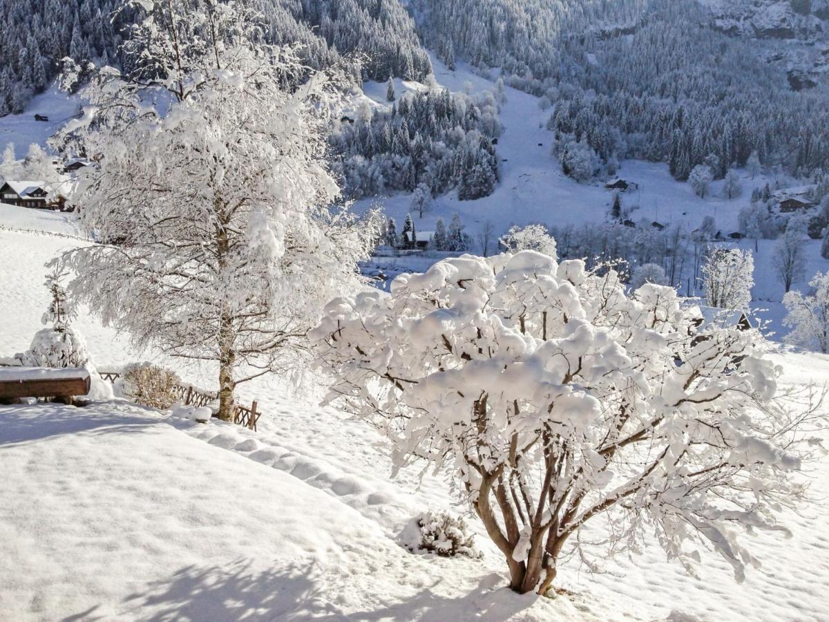 Apartment Chalet Baergsunna-3 By Interhome Grindelwald Dış mekan fotoğraf