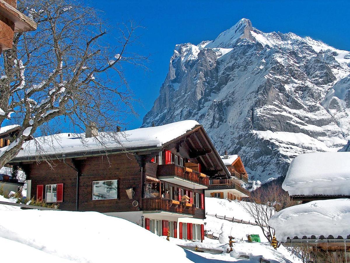 Apartment Chalet Baergsunna-3 By Interhome Grindelwald Dış mekan fotoğraf